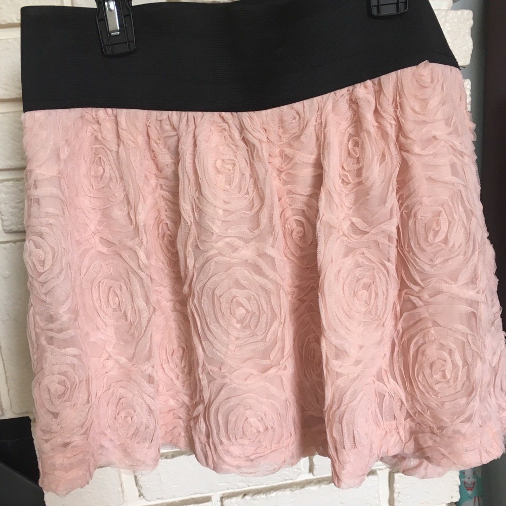 Delicate Rose Tulle Skirt 🌼Final Price 🌼